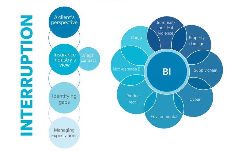 Figure 1. Business Interruption “Risk Bubbles”