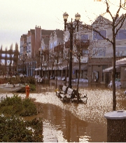 carousel image