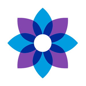reflect icon