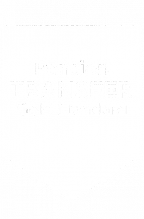 Pension Transfer Gold Standard