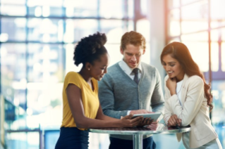 Diversity & Inclusion Solutions