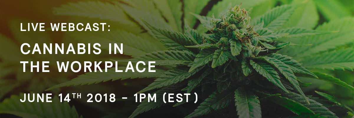 Cannabis in the Workplace - Webcast