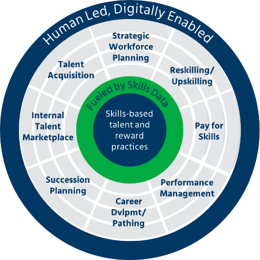 Skills based talent and reward practices