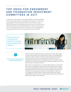 Top Ideas for E&F Investment Committees in 2017