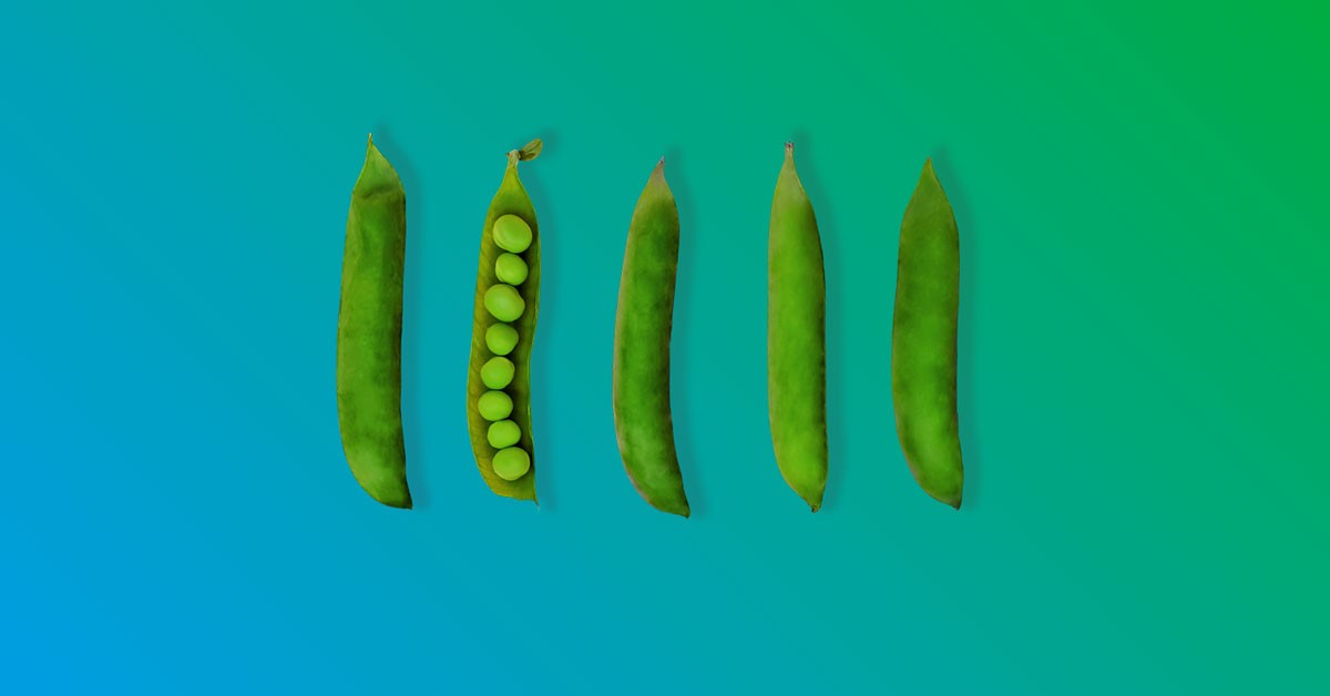 Sustainability in Investments