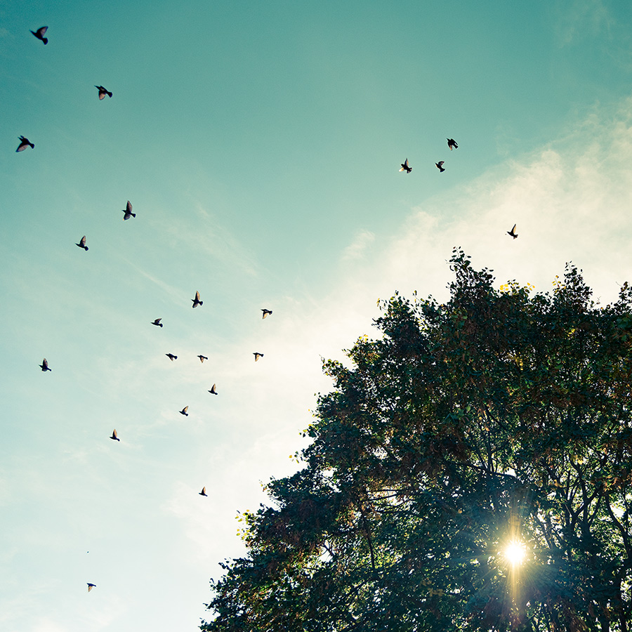 Flight risk in M&A